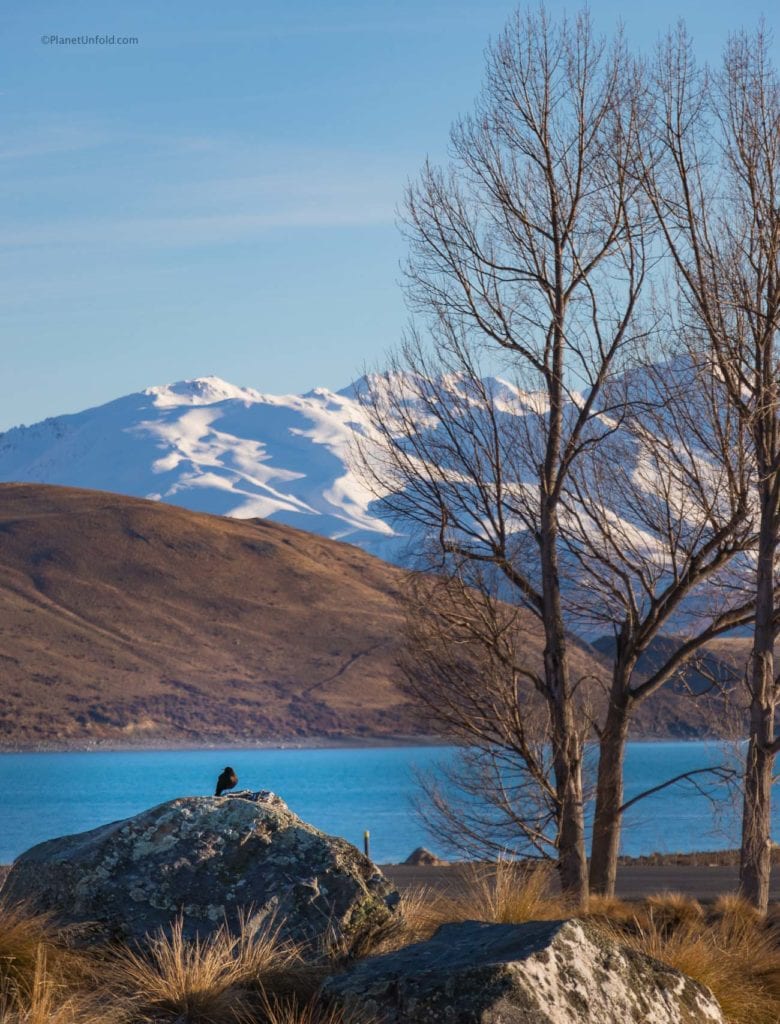 Lake View Tekapo